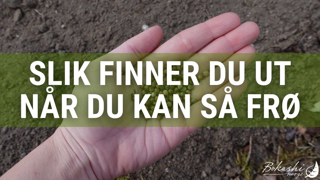Slik finner du ut når du kan så frø