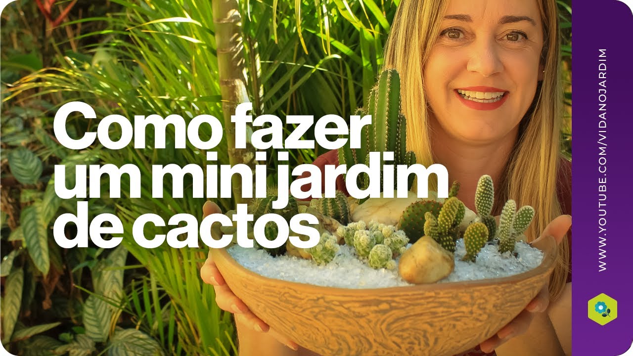Como fazer um mini jardim de cactos