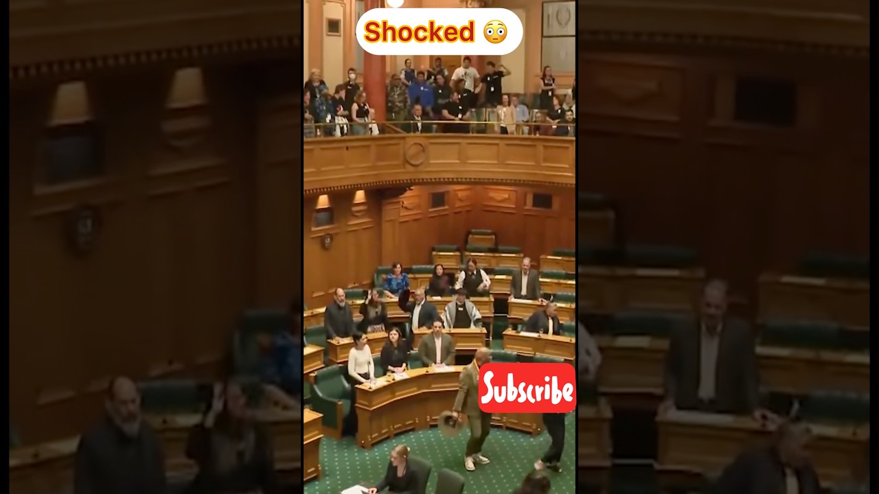 Haka Protest Parliament House New Zealand