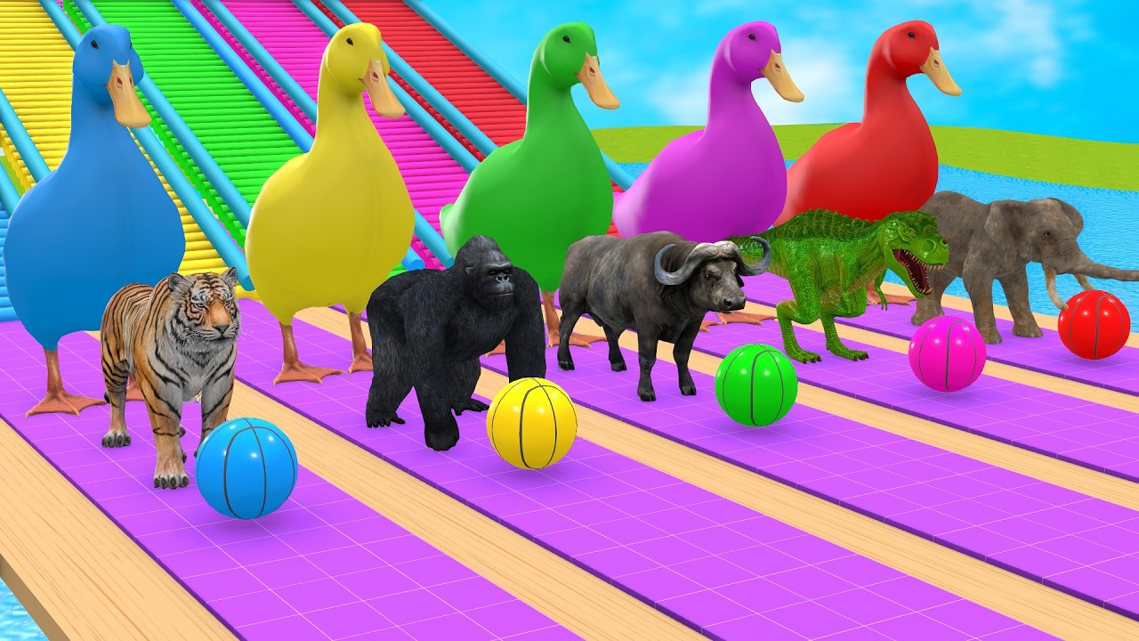 Long Slide Game With Cow Elephant Gorilla Hippopotamus Tiger 3d Animal Game Funny 3d Animals