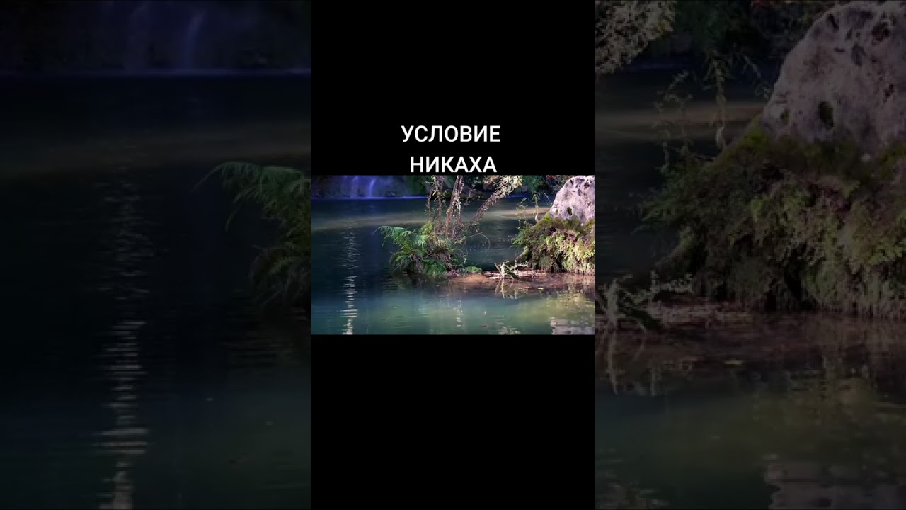 8 марта 2026 г.