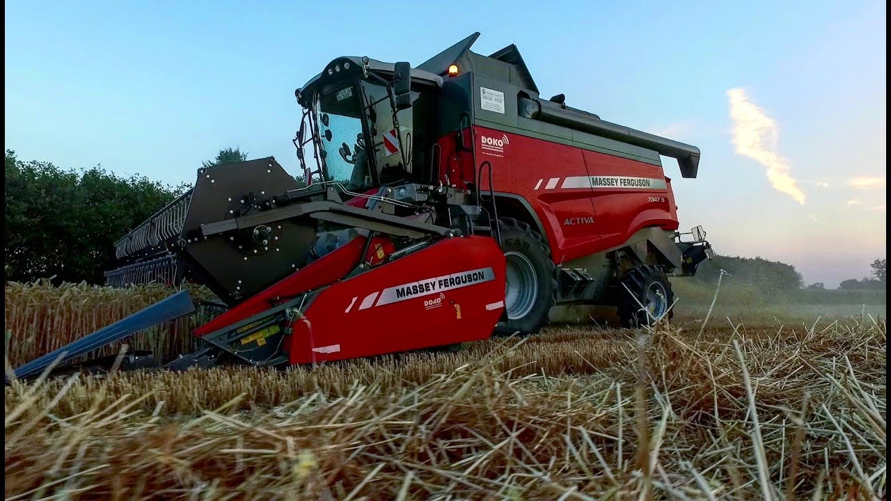 Weizen dreschen 2018 | Massey Ferguson Activa 7347 S | Lohnunternehmen Gollub