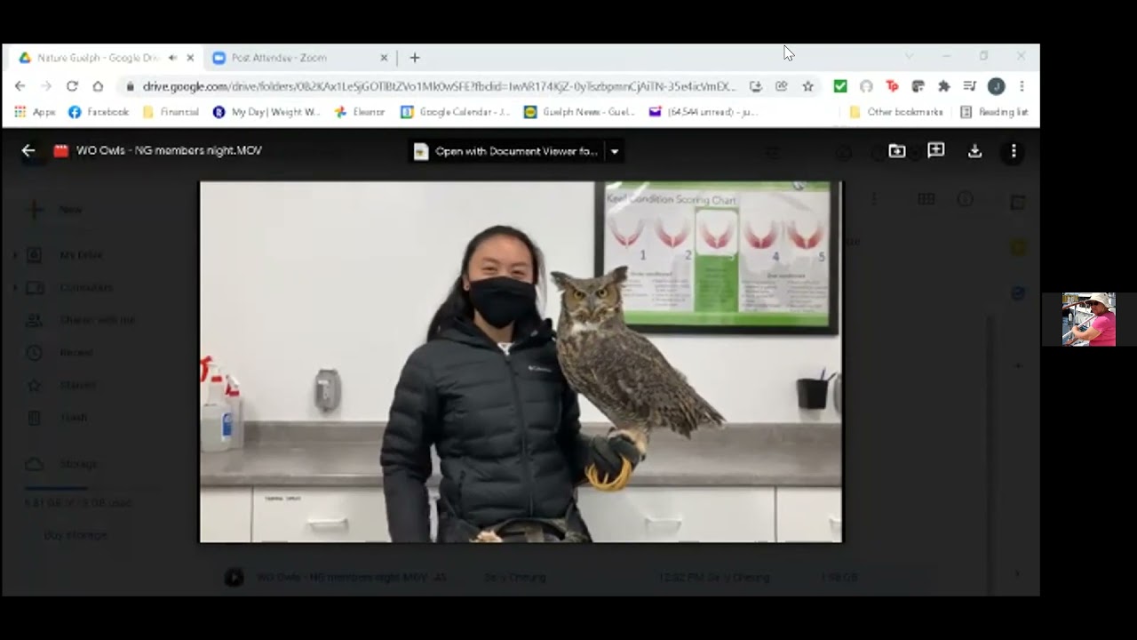 Wild Ontario Presentation