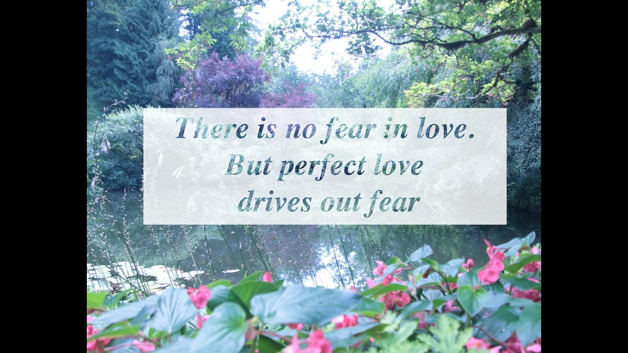 There is no fear in love But perfect love drives out fear
