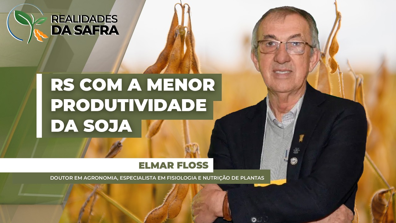 Rio Grande do Sul terá menor produtividade média na soja em todo Brasil