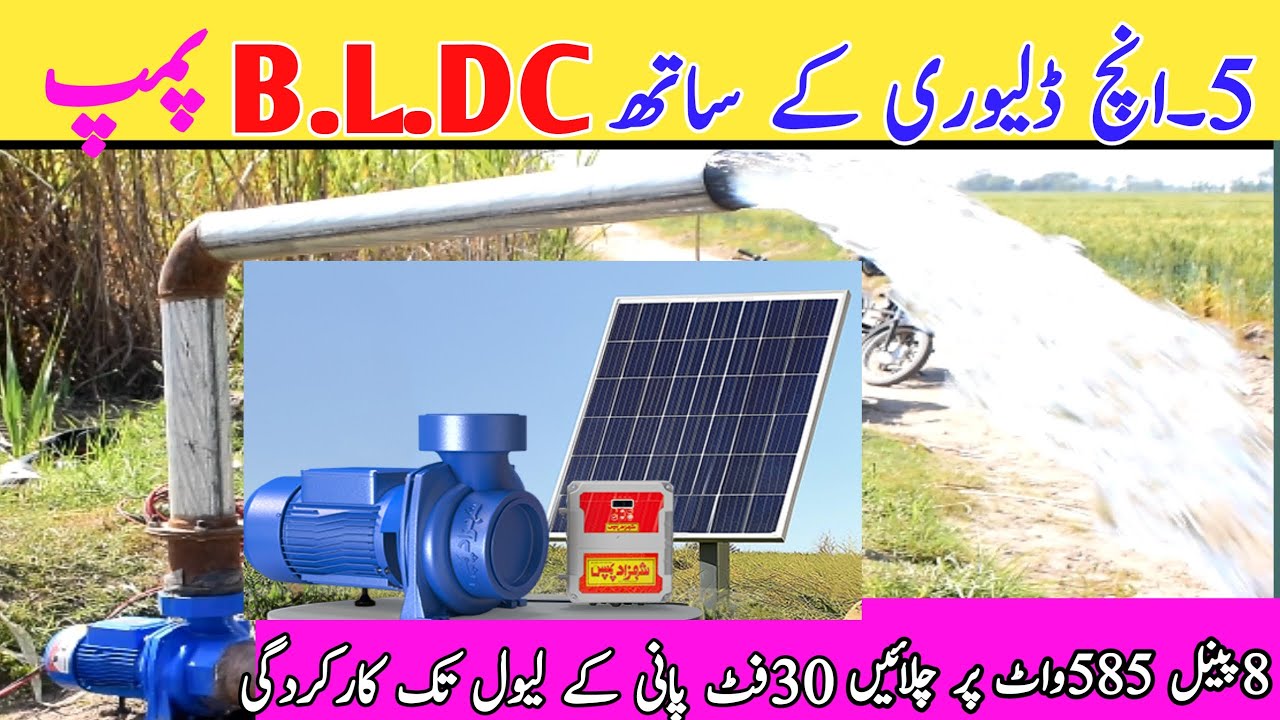 The ABSOLUTE BEST BLDC Pump Brands For Your Needs!
