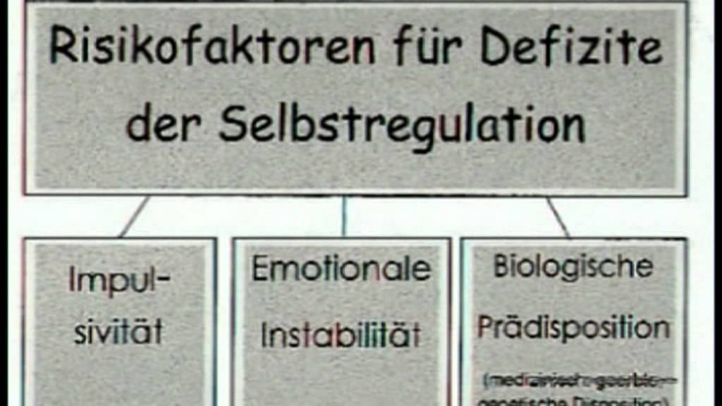 ADS_ADHS-Kinder_Kurzfassung.mpg