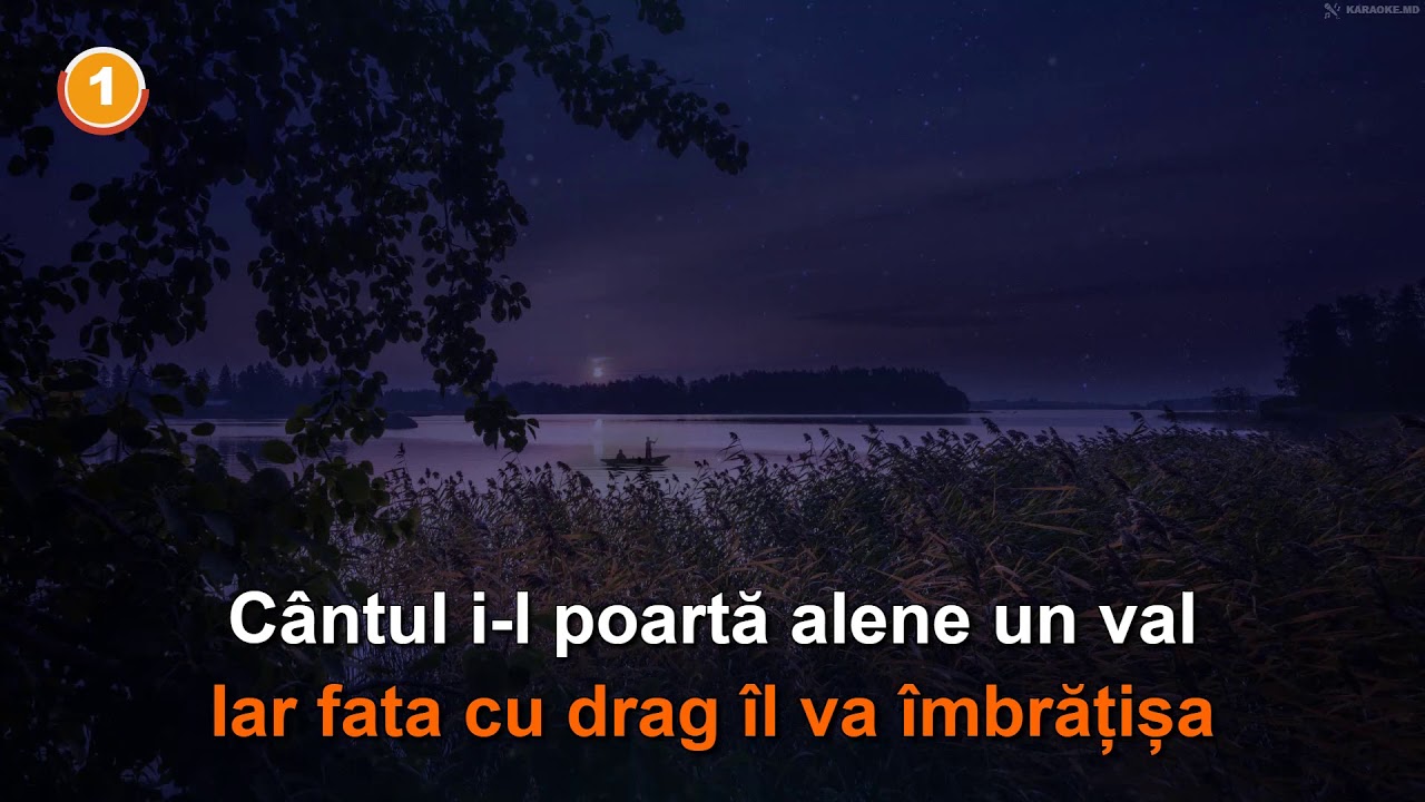 Corina Chiriac - Valurile Dunării. 🄺🄰🅁🄰🄾🄺🄴