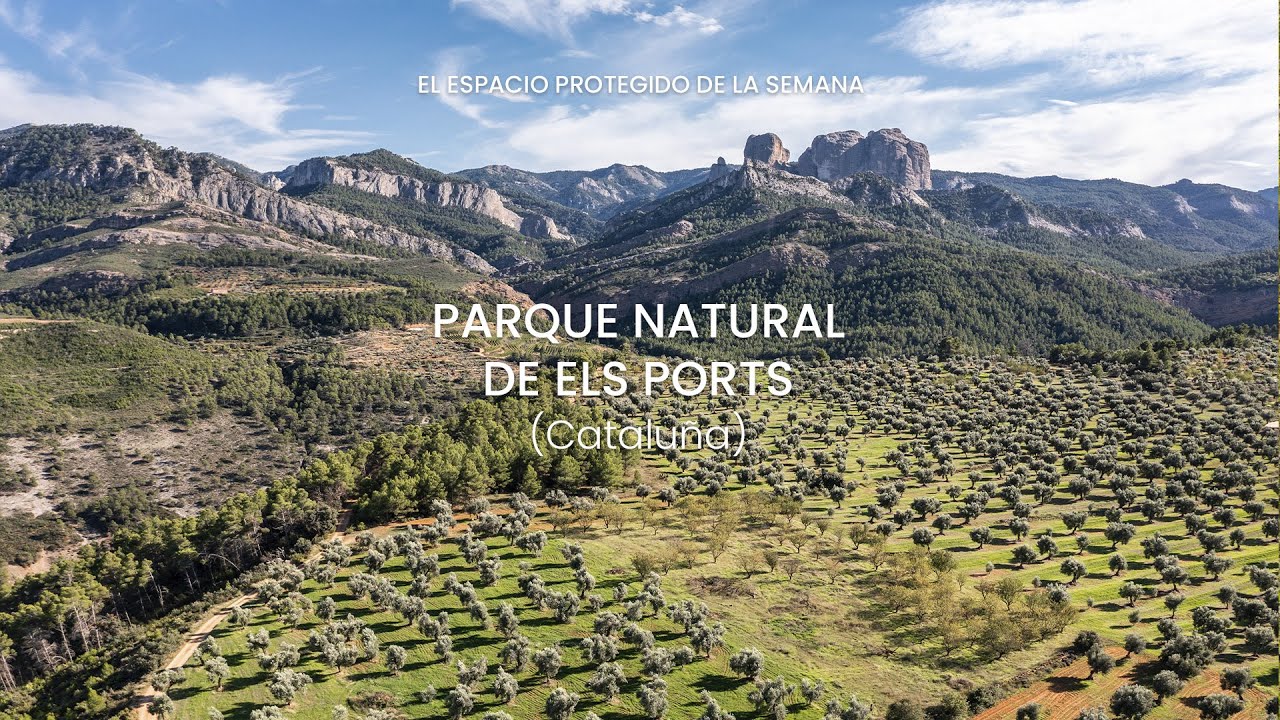 6. PARQUE NATURAL DELS PORTS