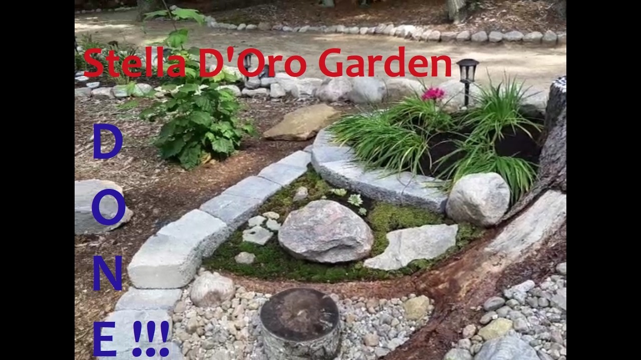 EPISODE #167 Stella D'Oro Garden DONE