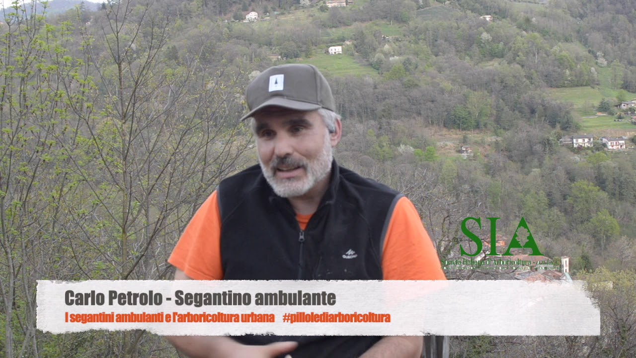 I Segantini ambulanti e l'arboricoltura urbana - #pillolediarboricoltura n.11