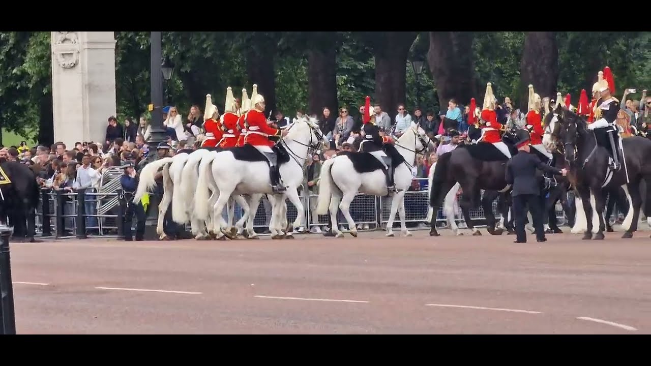 HOUSEHOLD CAVALRY GOD SAVE THE  KING ON HORSEBACK TROOPING THE COLOUR #thekingsguard