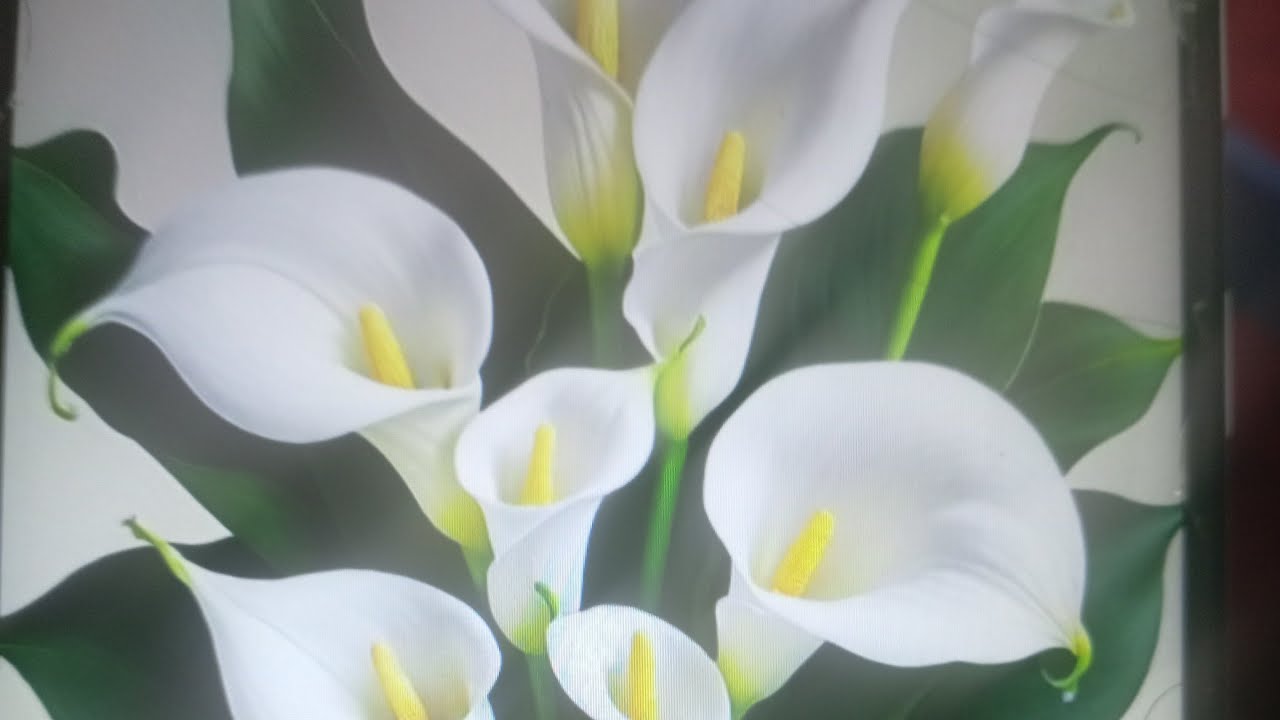 ከፍላጎተና ከዓላማ