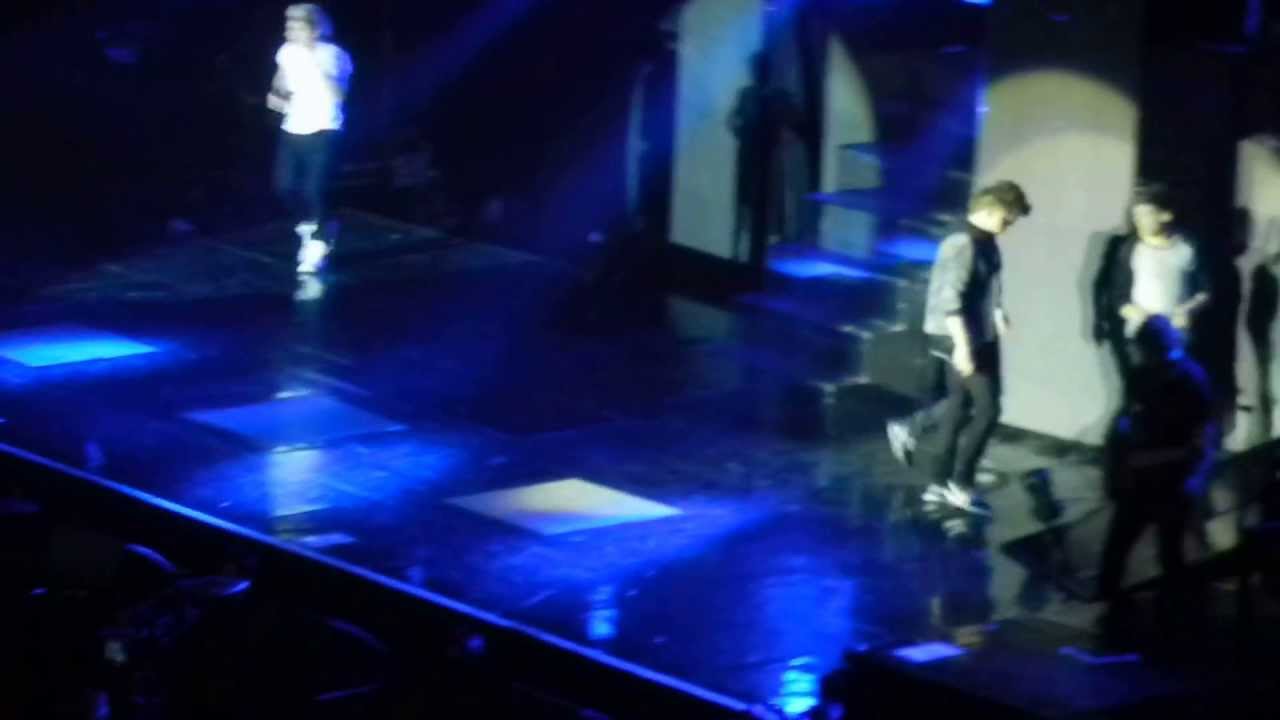 One Direction concert in Italy, Milano 2013