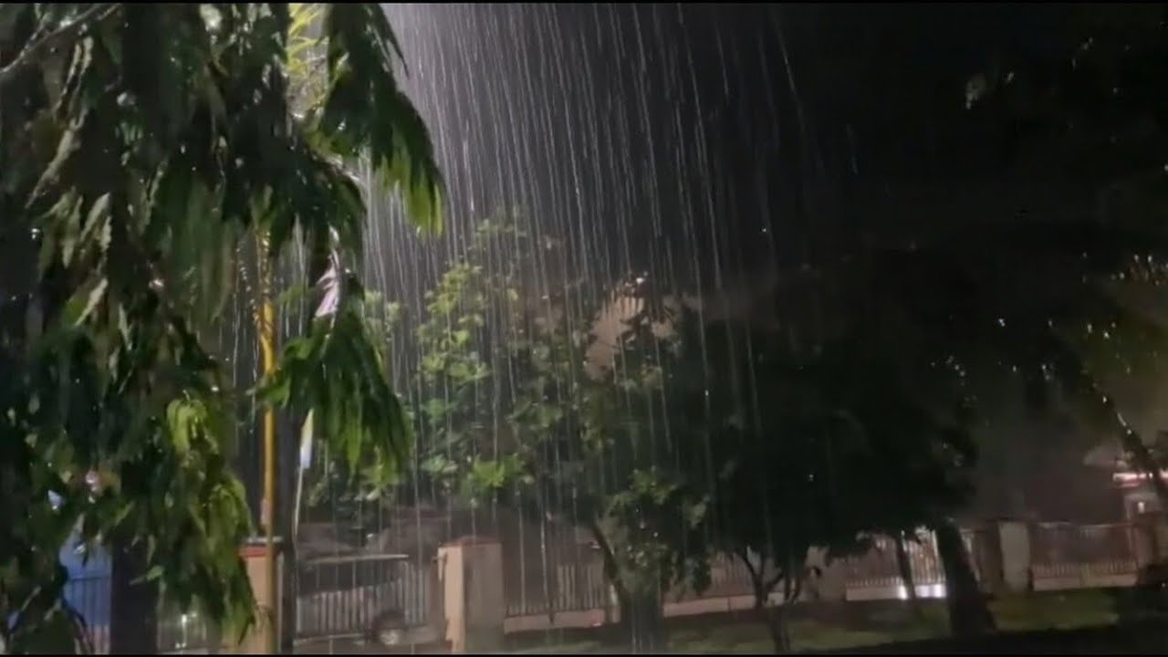Soft Rain in the Dark | Nighttime ASMR for Anxiety Relief