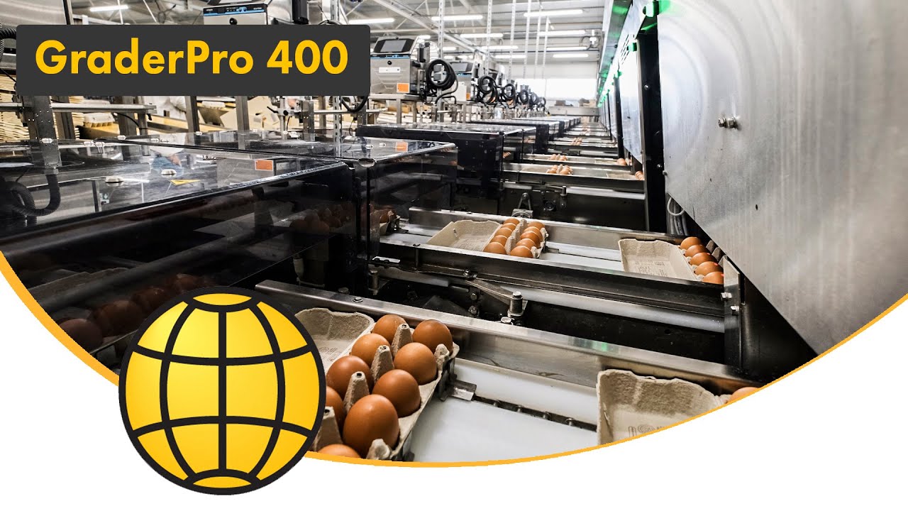 Automatic Egg Grading Machine (2025) | SANOVO GraderPro 400 in Action