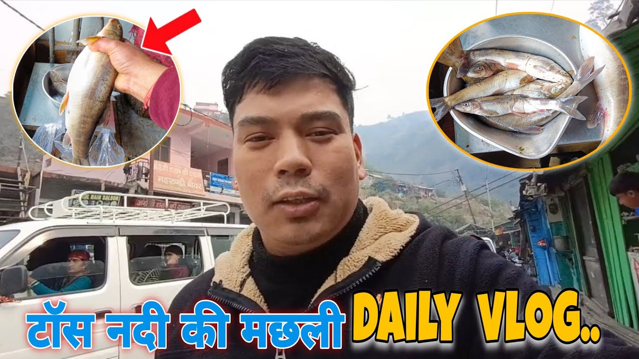 टोंस नदी की असला मछली🐟 | daily vlog | vlog | vlog 2025
