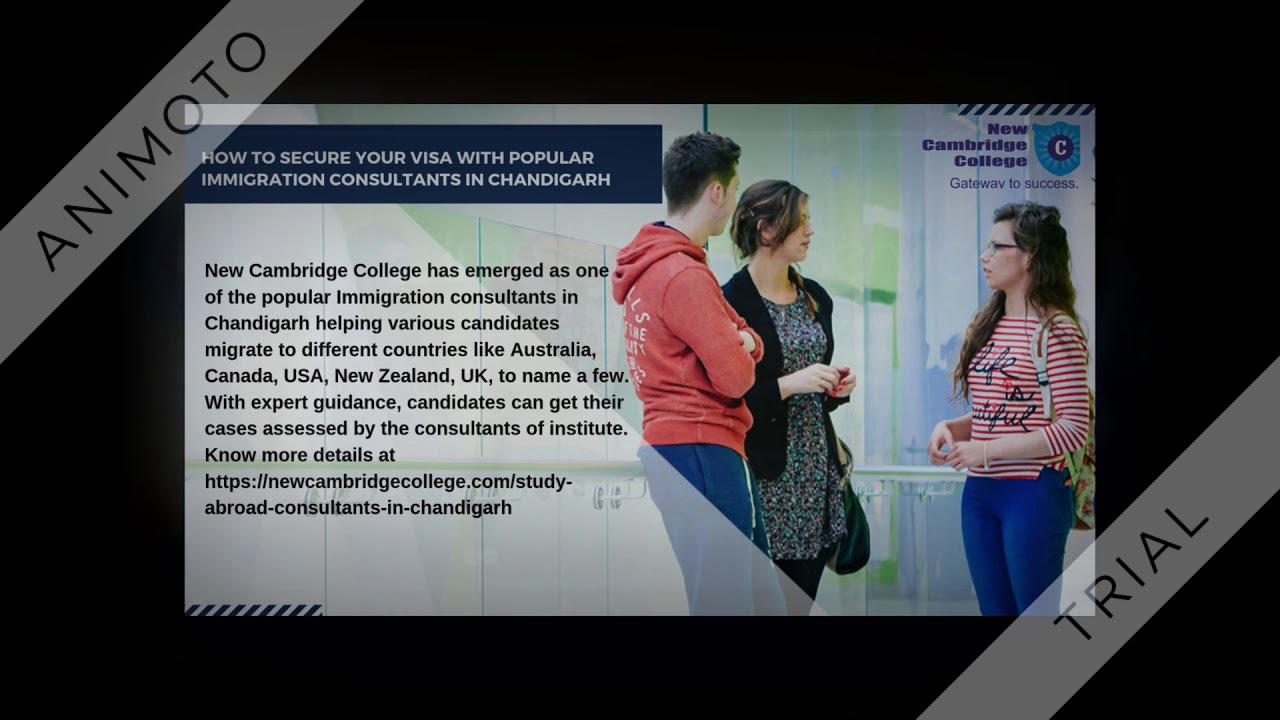 How to Secure Your Visa with Popular Immigration Consultants in Chandigarh