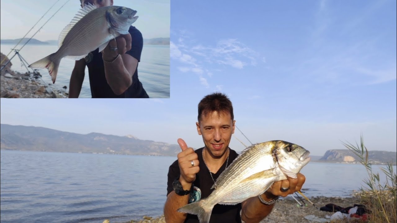 Ψάρεμα τσιπούρας και η αναζήτηση τής μέσα στον Αύγουστο.