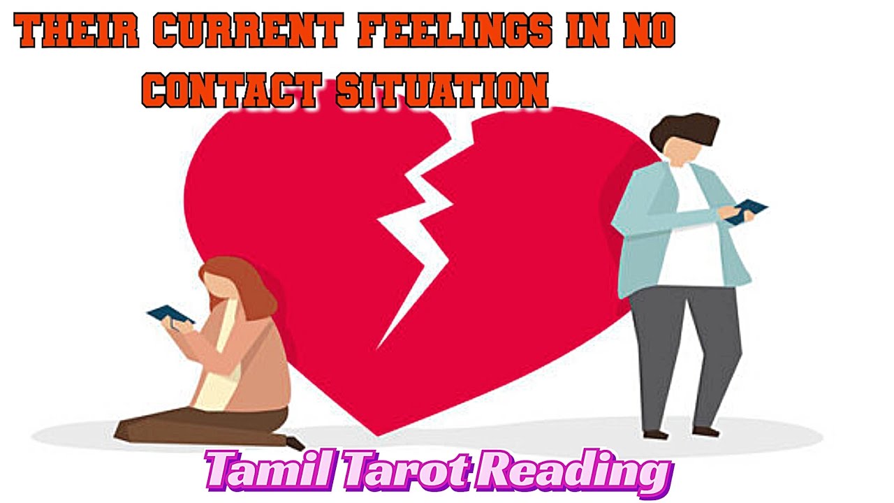 𝗧𝗮𝗿𝗼𝘁 𝗣𝗿𝗲𝗱𝗶𝗰𝘁𝗶𝗼𝗻 - 𝗧𝗵𝗲𝗶𝗿 𝗖𝘂𝗿𝗿𝗲𝗻𝘁 𝗙𝗲𝗲𝗹𝗶𝗻𝗴𝘀 𝗶𝗻 𝗻𝗼 𝗖𝗼𝗻𝘁𝗮𝗰𝘁 | 𝗧𝗮𝗺𝗶𝗹 🕊️