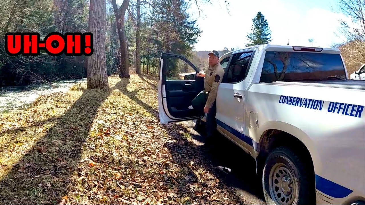 Неправильное разведение форели в Пенсильвании?