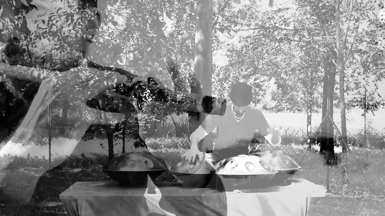 Mozart - Rondo alla turca ( B/N VERSION)  -Bansuri flute & Handpan - Enz percus - Nicolò Melocchi