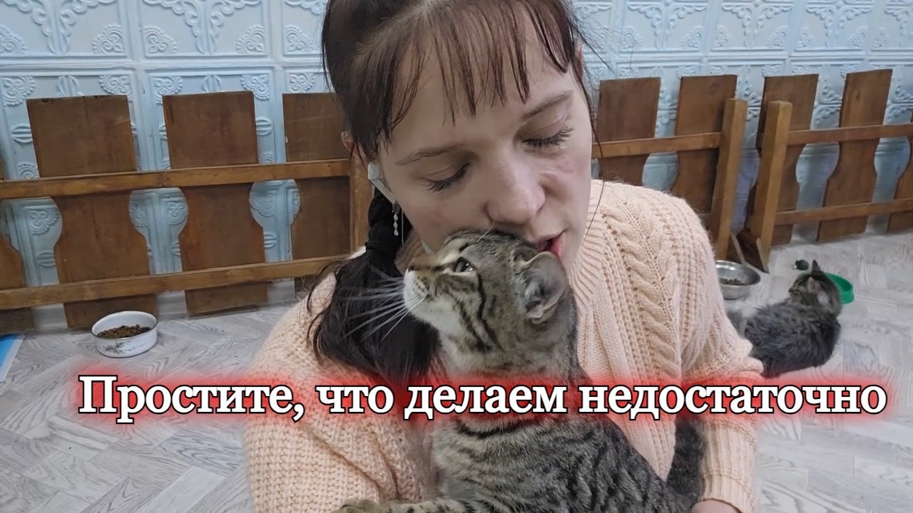 Плюнут и пнут многие   поймут единицы