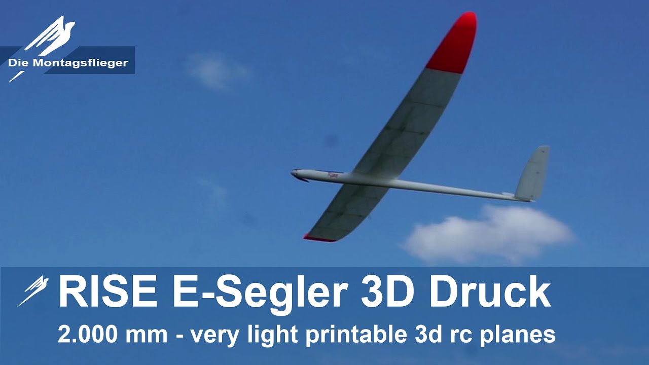 3D Druck E-Segler RISE 2.000 mm