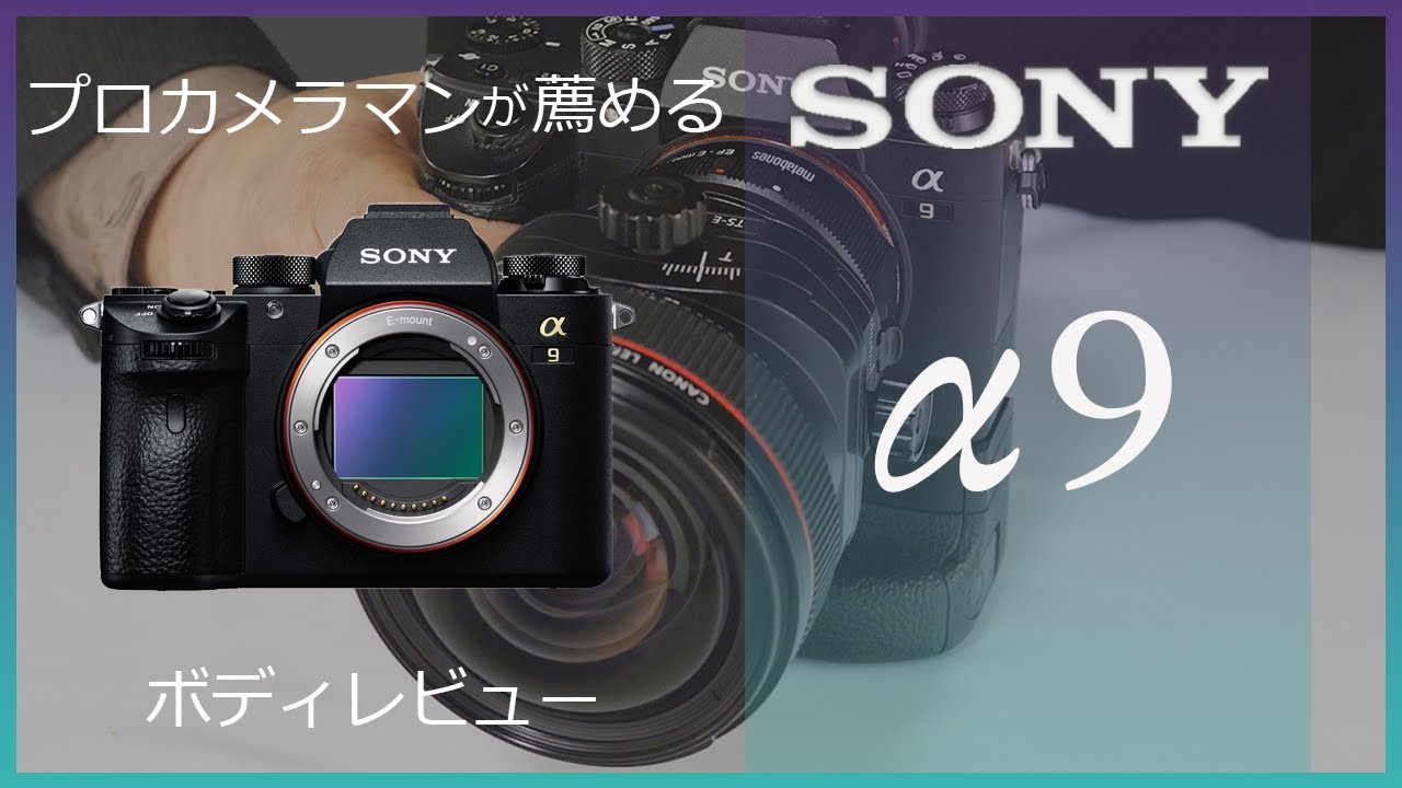 【SONY α9】プロカメラマン田岡信樹が語る！α9の連射性能や愛用し続ける理由 /建築写真家 田岡信樹