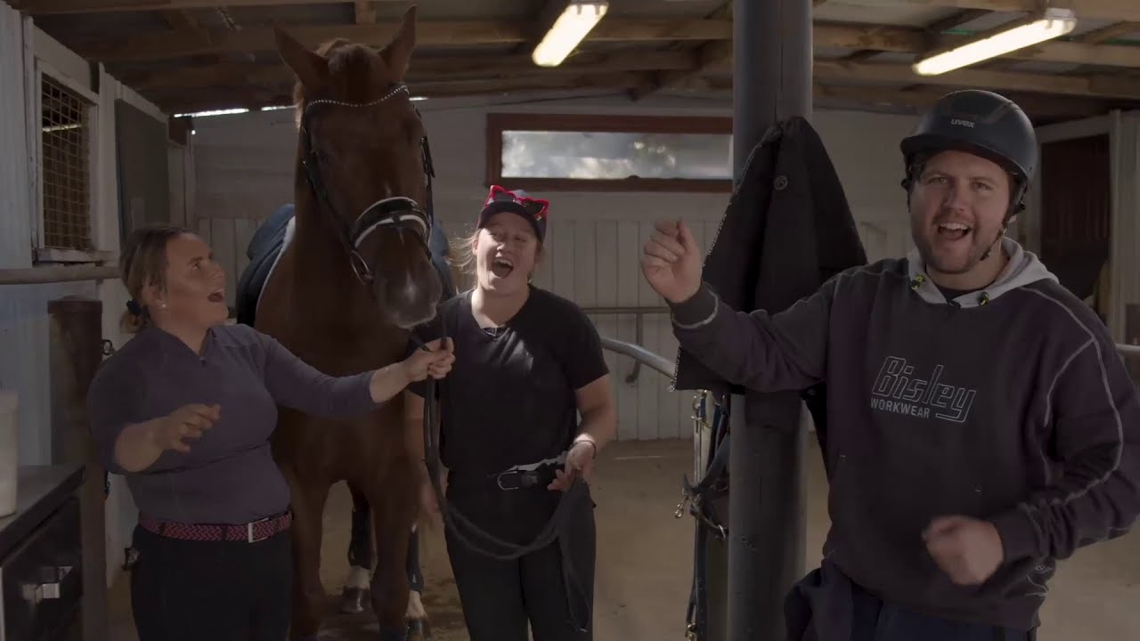 I Was An Apprentice For The Day - Horse Stable hand