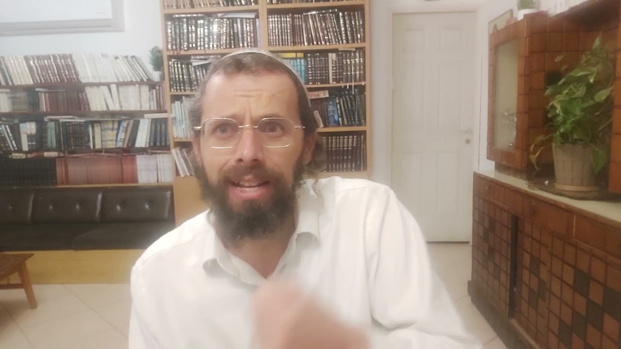 ירושלמי כלאים דף י עמוד ב