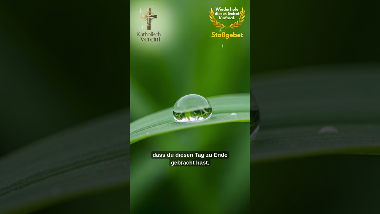 Wenn ich Dich nicht höre 🌿 Gebet um Stille