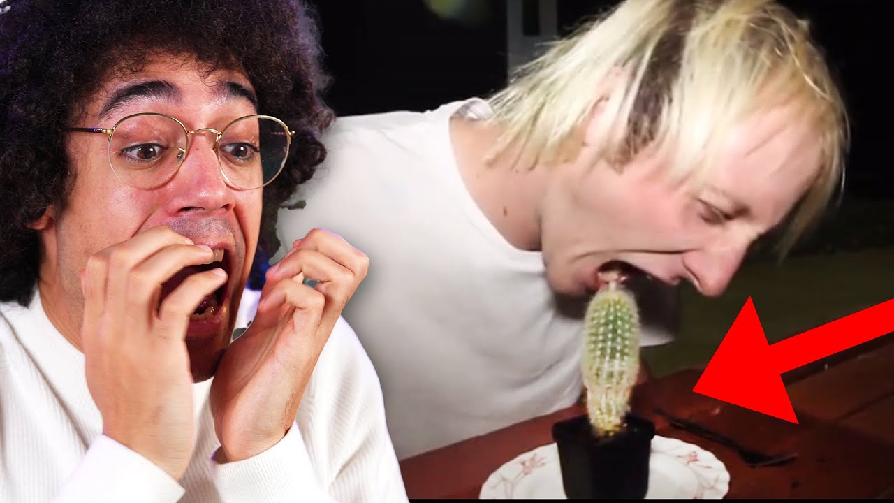 NO! NON MANGIARE quel CACTUS!!!
