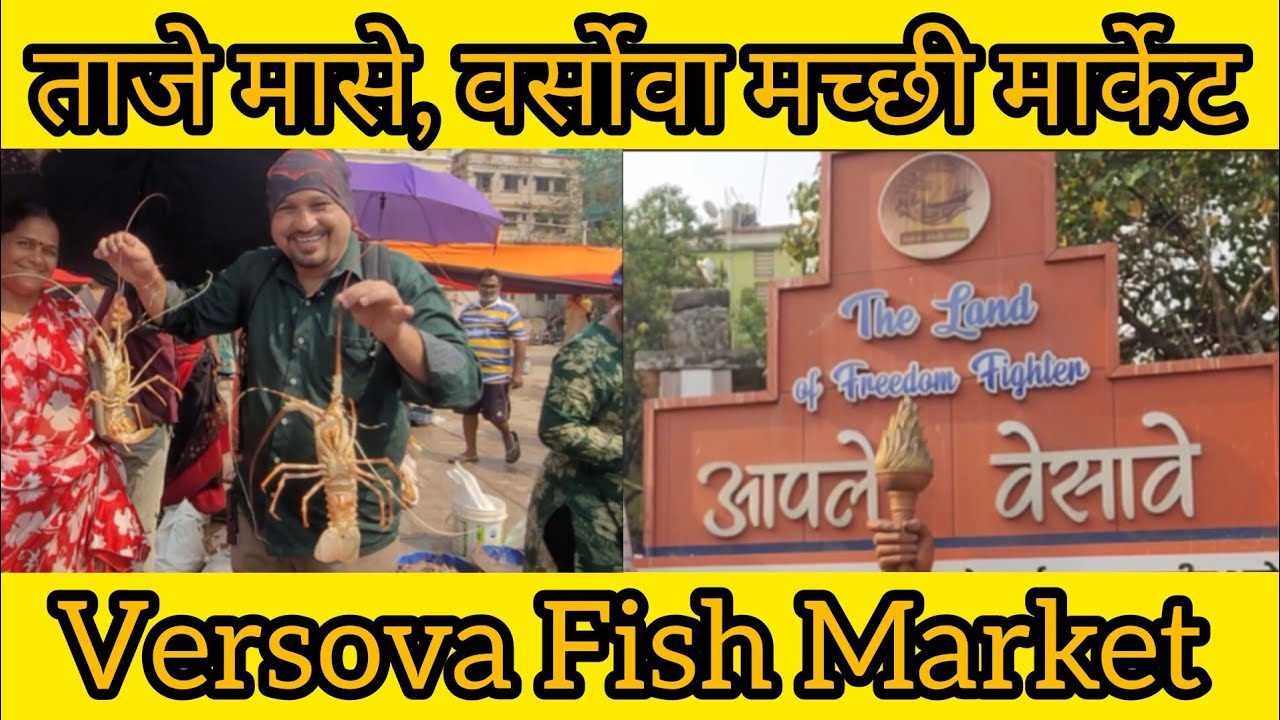 वर्सोवा, होलसेल फिश मार्केट | Versova fish market latest video | वेसावे मच्छी मार्केट  Vlog no. 36