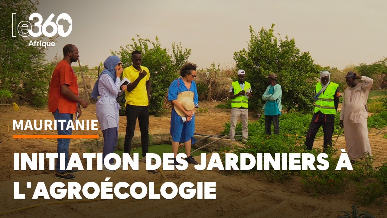 Mauritanie: l’agroécologie ou le retour aux racines du maraîchage