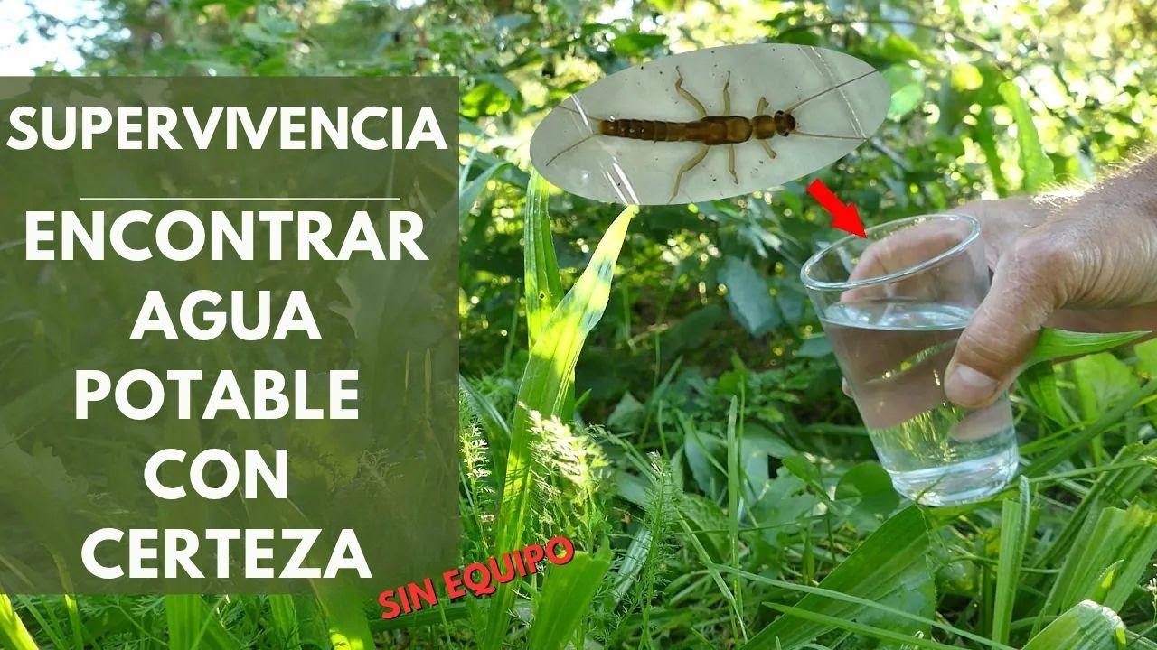 Cómo encontrar agua potable en la naturaleza sin equipo especial