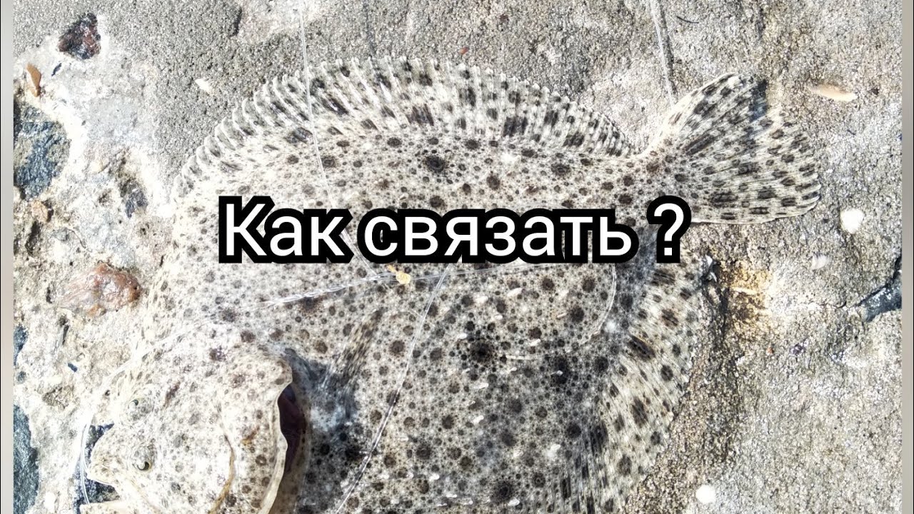 Снасть на камбалу