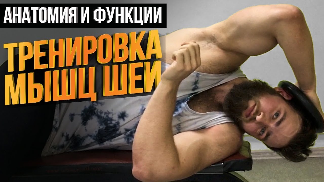 НАКАЧАТЬ ШЕЮ / Анатомия и Упражнения для мышц шеи