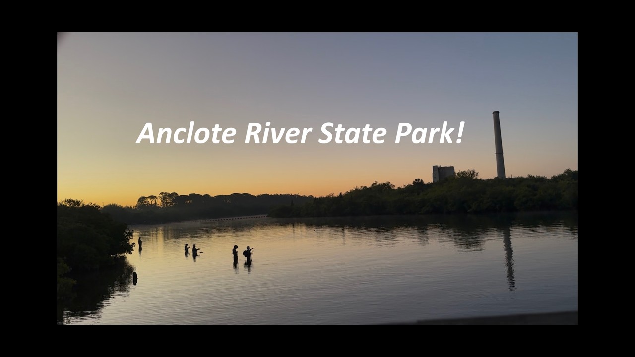 Fishing Anclote River & Wade Fishing For The First Time!