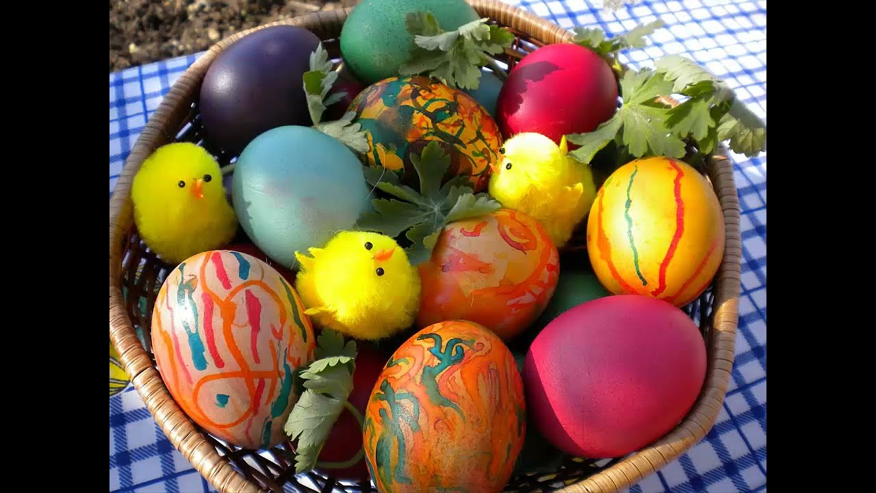 Ко ко яйчица