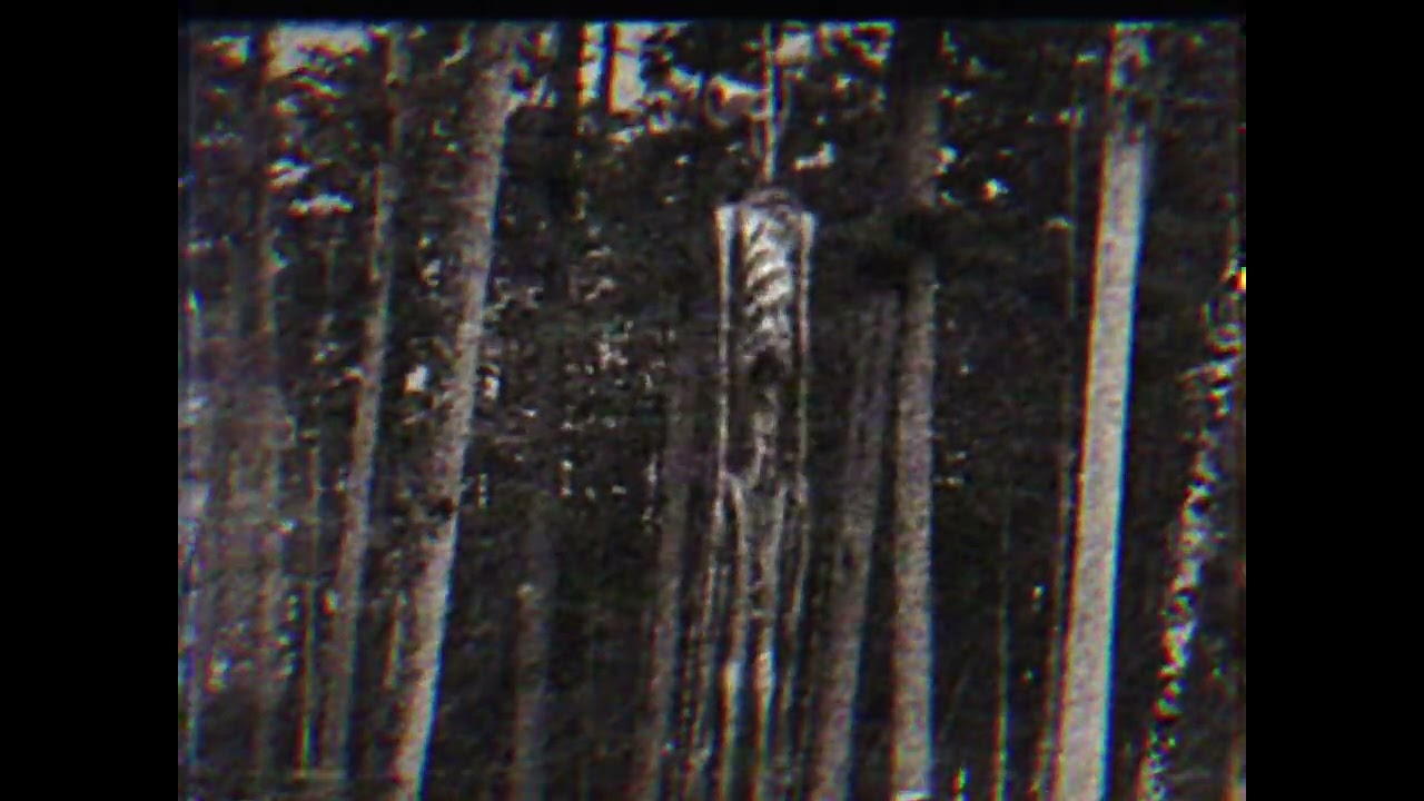 First photo (Siren Head Analog Horror)