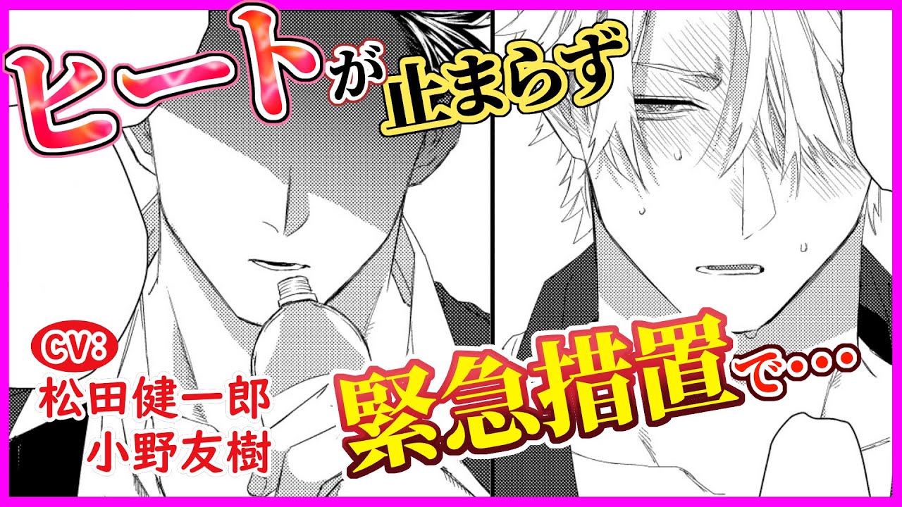 オメガバースBL💛運命のα…匂いに発情してしまい――【オメガの婿取り2】【松田健一郎／小野友樹】
