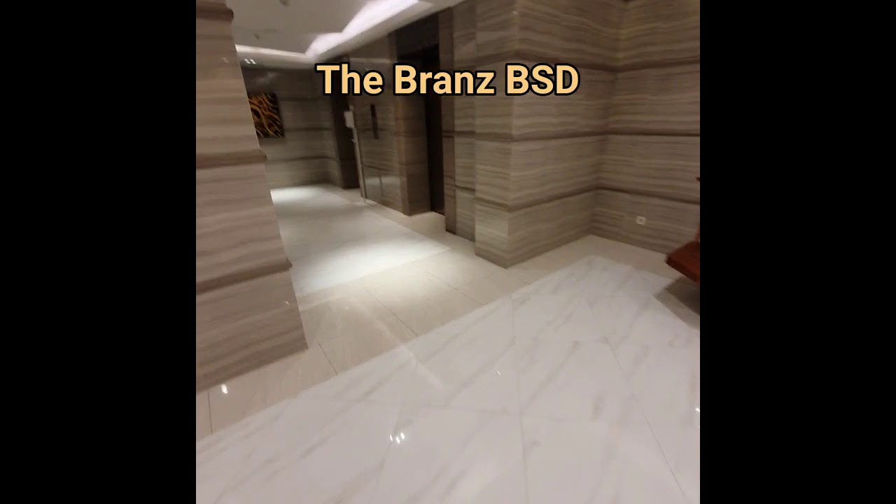 The Branz BSD | 3BR Unit