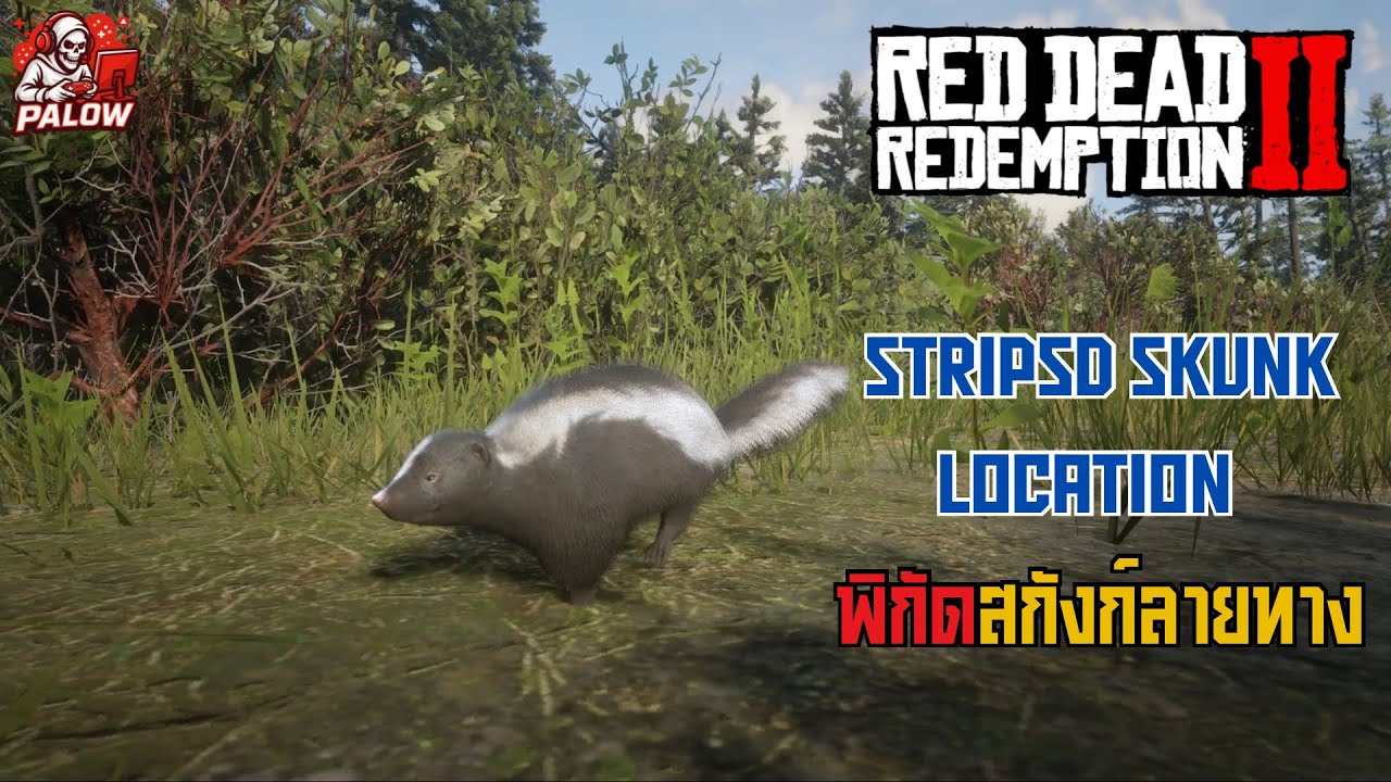 RDR2 Stripsd Skunk Location | พิกัดสกังก์ลายทาง