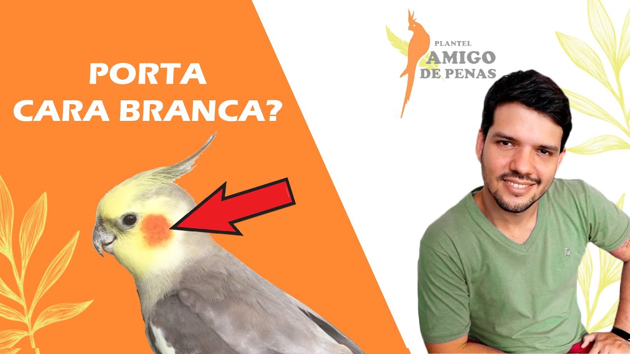 Sua ave porta cara branca? como descobrir