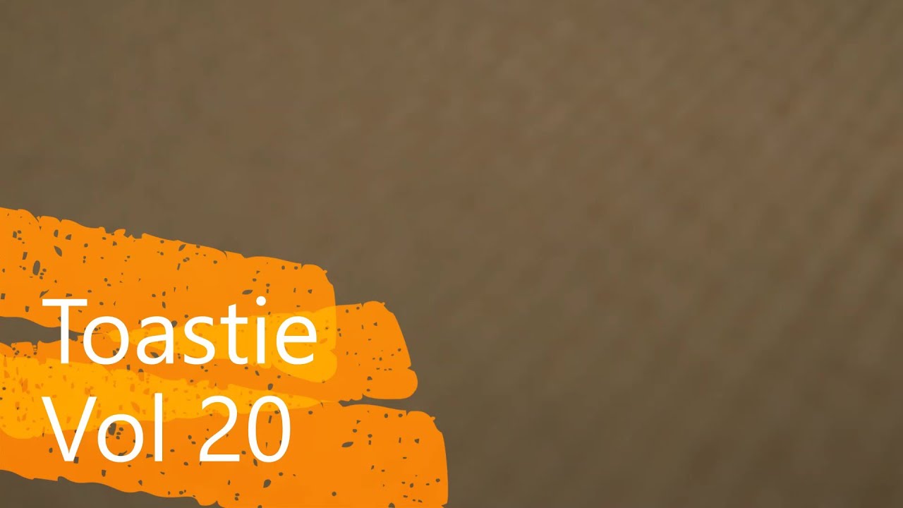 Toastie Vol 20　ウクライナに潜入し、極秘任務を遂行するうさぎさん。