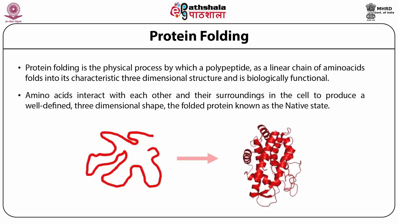 Principles in protein structure prediction