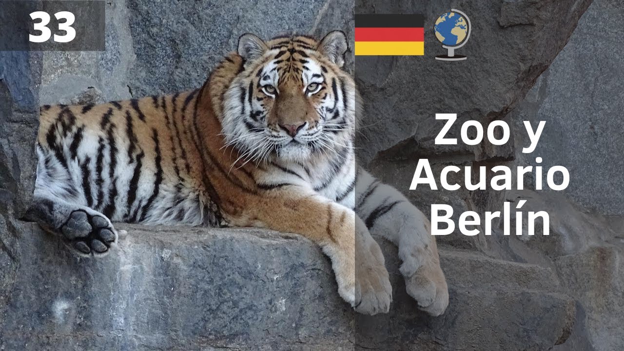 El ZOO y ACUARIO de BERLÍN | BERLÍN (Alemania)