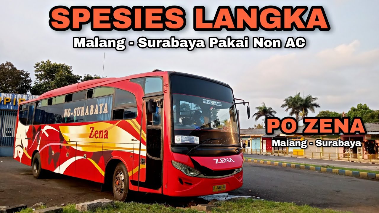 LANGKA BANGET‼️Tiba-tiba Unit Ini Jalan Ke Bungurasih!! Trip Bus Zena Non AC