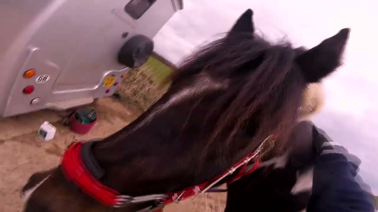 First Endurance Ride of the Season! GOPRO Dulux 34km